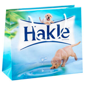Branded Gift Bags
